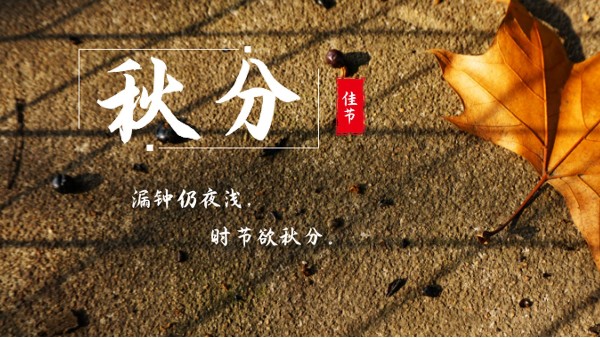 樓上樓門窗 | 白露秋分夜,一夜冷一夜，高端門窗安排上！